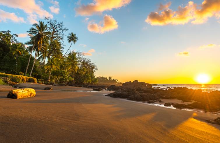 Discover the Natural Wonders of Costa Rica