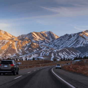 Why CARWIZ is the best car rental company in the USA