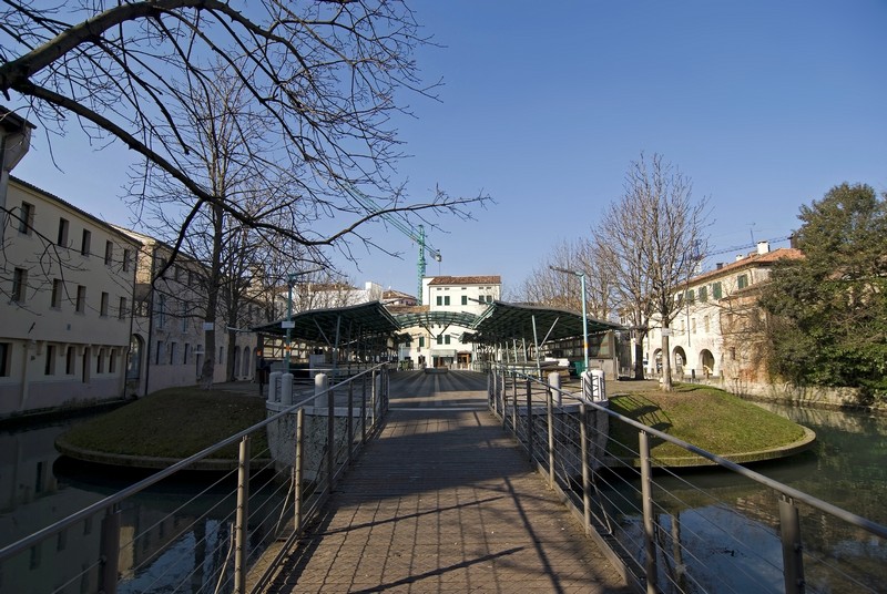 treviso